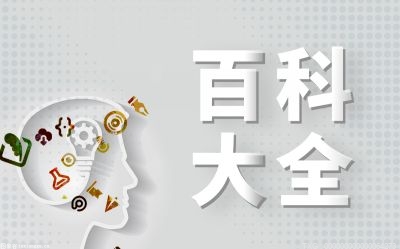 公司董事长职责是什么？公司法第一百零九条的规定内容有什么？